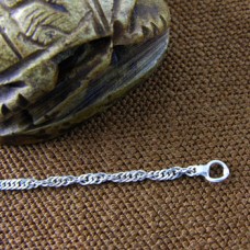 Silver Singapore Chain (Chains Collection)