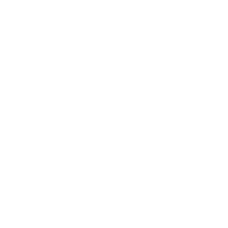 Silver Cartouche with filigree border and dark background   